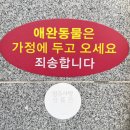로컬한우 | <현대한우> 현지인들이 주로 가는 찐 로컬 영주 한우 맛집 솔직후기