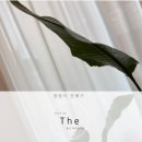 명품프라자상가 | [탄력 리프팅 후기] 수기 + RF + 물방울기계까지 효과 대박났어요 진해 더좋은피부관리실