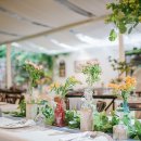 더그레이스켈리 이미지