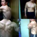 신금당 Daum카페