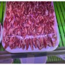식당 호 이미지