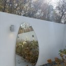 금산애견용품