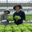 최은희 농장 이미지