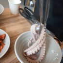 동탄백합칼국수