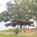 스트롱파이어(관청리1000) | [181025~181026] 인천여행시점 강화도 1박2일 여행후기