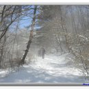 화천 용화산(12. 02. 04) 산림청 백대명산