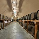 민간약초 생활한방 이미지