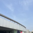 이태원 서울 리움미술관 후기, 필립 파레노 전시, 리움스토어
