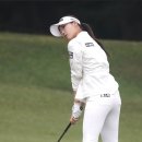 한아름 건강식품 이미지