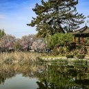 영산 연지못 이미지