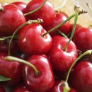 더좋은이비인후과의원 이미지