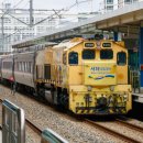H1786 네이버블로그