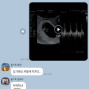 임신일기) 임신 6주차 일상 : 24.09.24(화)~30(월)