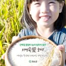 도곡농협라이스센터 이미지