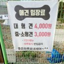 놀다가개 이미지