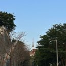 남리식당 | 남영동 가성비 포차 | 옛 추억을 건드리는 제철 음식 노포, 남리단길 고기집 등수집