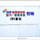 돌담농장 이미지