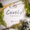 Covely(커블리)