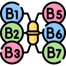 더나음 피티 이미지