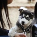 학우 이미지