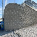 뛰뛰하개 이미지