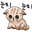 주왕산관광호텔 이미지