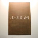 111기 Satin의 꽃 같은 자소서/발음 주의/[다음 타자 영국님,도도님] 이미지