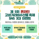 고성가리비수산물축제 저렴하게 제철 가리비구매 하세요~