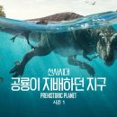 12월미디어