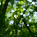 [노인과 바다] 불굴의 의지를 지닌 개인의 사투를 담은 걸작 | '어니스트 헤밍웨이(Ernest Hemingway)'의 소설 『노인과 바다(The Old Man and the Sea)』를 읽으며