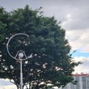 코오롱 야외음악당 이미지