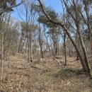 원주굽이길 17코스 동화마을진달래길 이미지