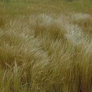 그섬에가고싶다 이미지