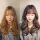 오키드 헤어 이미지