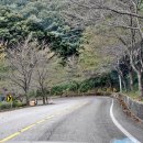 군도11호선 | [여행] 겨울 드라이브, 어디까지 가봤니? 칠갑산 나선형 도로에서 인생샷 건지기!