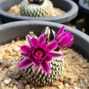 산정농장 이미지