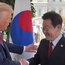 주식회사 지원나무병원 이미지