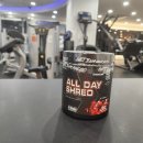 Muscle Bomb(머슬밤) | 머슬코리아 후기 올데이슈레드 체지방컷팅제 내돈내산