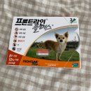 김포다온약국 이미지