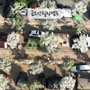 금오산 힐링캠프 이미지