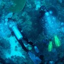 날으는돈까스 이미지