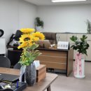 송 행정사사무소 이미지