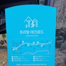 자연휴양림입구 공중화장실 | 아이랑 동두천자연휴양림 숙박 후기 : 휴양관 숲놀이터 트리탑데크로드 놀자숲