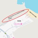 리틀펭귄 | [태즈매니아 3박4일] 2일차: 비체노 펭귄 투어 후기, 비체노 Diamond Island Resort, 쇠푸른 펭귄, 리틀...