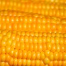 진천역사 보물찾기 이미지