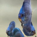 공간플렌츠 이미지