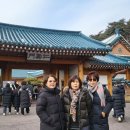 청화대 이미지