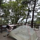 트리캠핑장 이미지