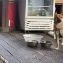 별과 달 이야기 펜션2 이미지