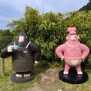 동산경로당 | 울릉도(26년6월)
